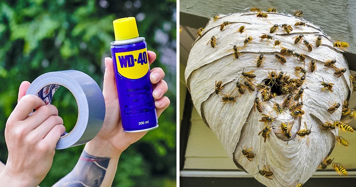 18 Ways to Use WD-40 That Can Save You Lots of Time and Energy / Bright Side